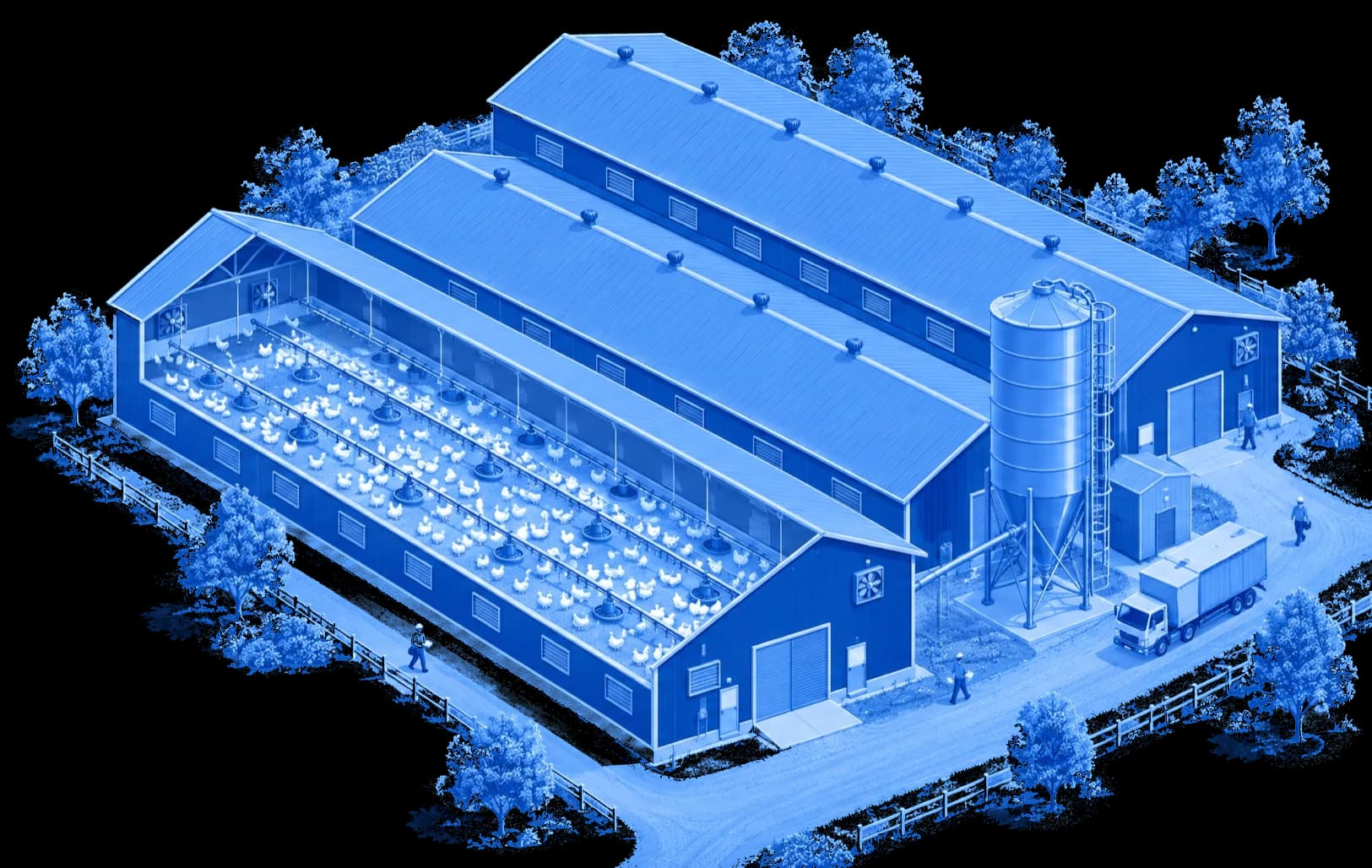 Illustration of a broiler farm with poultry houses, feed silo and delivery truck